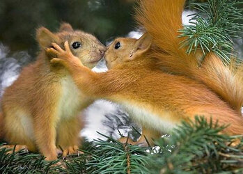 114555360_Happy_Kiss_Day__3_.jpg