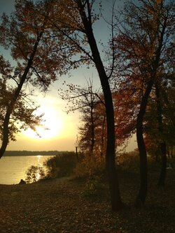 IMG_20181019_165946.jpg