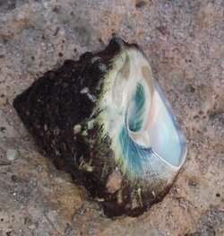 20190927_083239.jpg