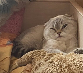 IMG_0288.jpeg