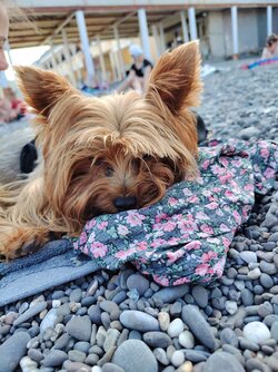 IMG_20240809_165632.jpg