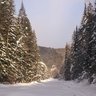 Алекс88