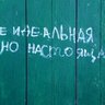 Анастасия Дмитриенко