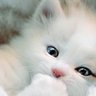 Ruslan