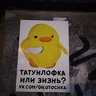 Anuta779