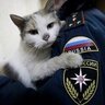 Всеволод Растворов